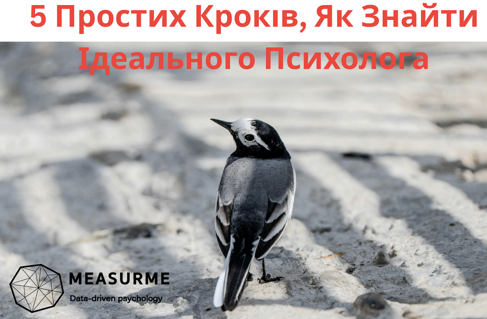 Гайд: як знайти ідеального психолога
