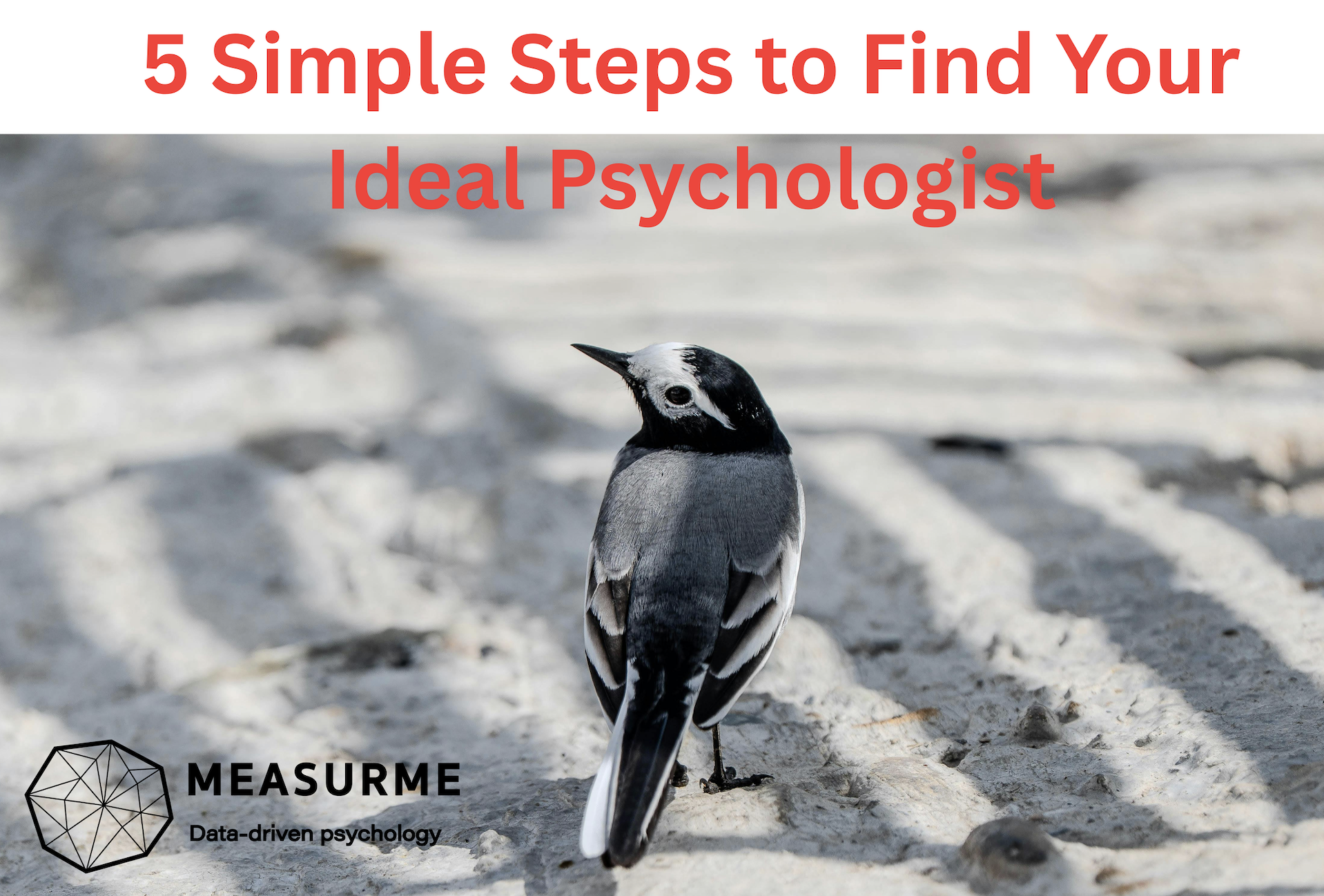Illustration for a guide on finding the right psychologist